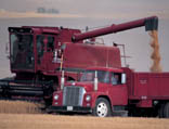 Landwirtschaft